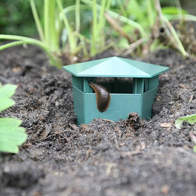 Nacktschnecke klettert in grüne Schneckenbarriere im Garten