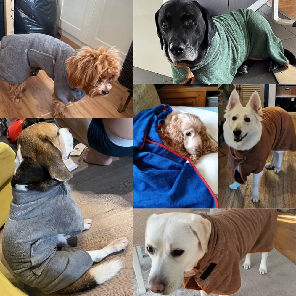 Verschiedene Hundehandtücher in mehreren Farben – ideal für kleine, mittlere und große Hunde.